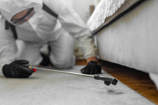Professional Bed Bug Control technician working in Morristown, IN