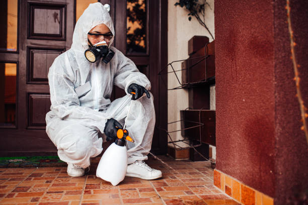 Reliable Bed Bug Control contractor in Morristown, IN by Nex Pest Control