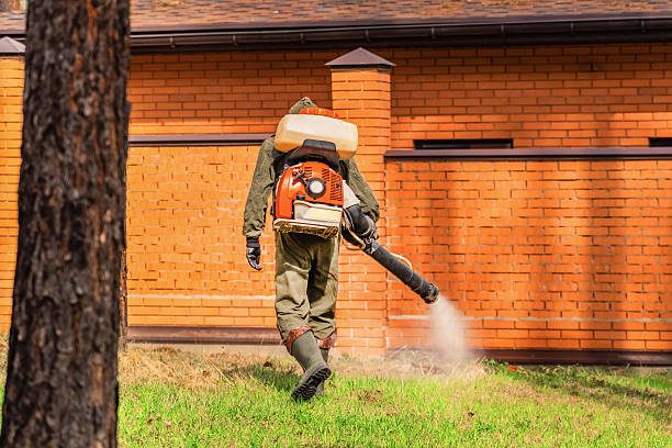 Trusted Ant Control service in Morristown, IN - Nex Pest Control